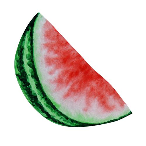 Saftig vandmelon skive